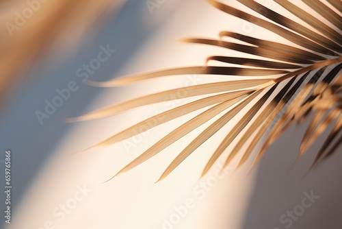 A customizable banner featuring a close-up of palm leaves with soft sunlight streaming through them  offering a tranquil and adaptable canvas for personalization. Photorealistic illustration
