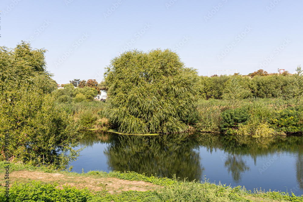 Landscape with river, trees and blue sky