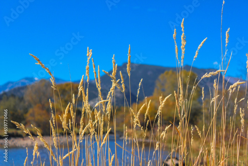 Fototapeta Naklejka Na Ścianę i Meble -  Autumn Grass in the Mountains