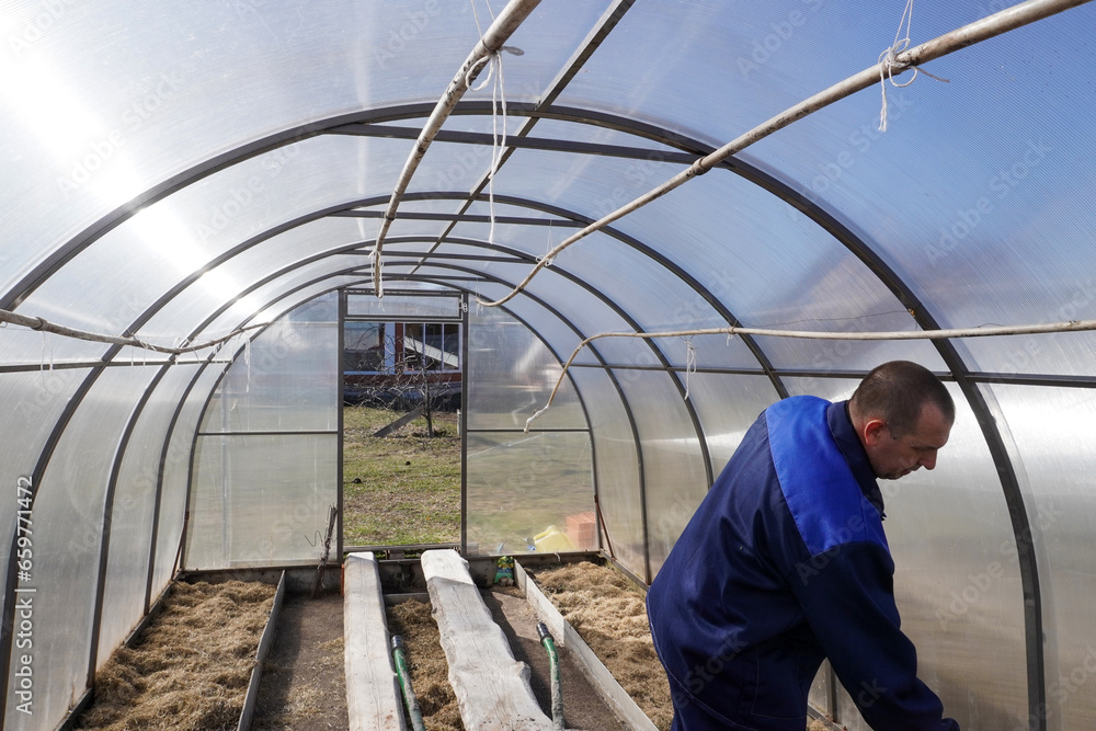 A man works in a vegetable garden in early spring.  Digs the ground.   Working in a greenhouse