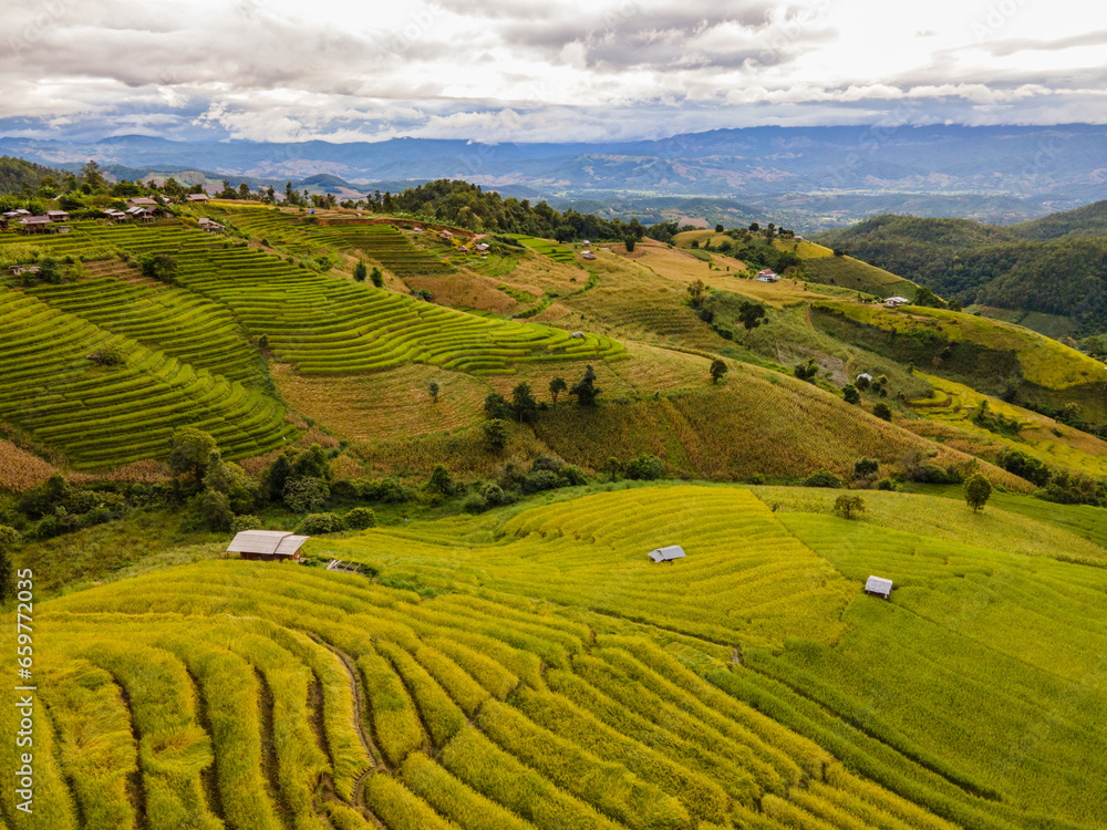 Aerial shot from drone. Green rice planting season and mysterious golden rice fields. Rice terraces. Rainy season and atmosphere after rain at Pa Bong Piang villagers, Chiang Mai, Thailand.