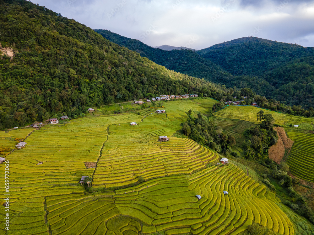 Aerial shot from drone. Green rice planting season and mysterious golden rice fields. Rice terraces. Rainy season and atmosphere after rain at Pa Bong Piang villagers, Chiang Mai, Thailand.