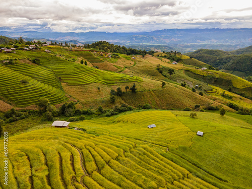 Aerial shot from drone. Green rice planting season and mysterious golden rice fields. Rice terraces. Rainy season and atmosphere after rain at Pa Bong Piang villagers  Chiang Mai  Thailand.