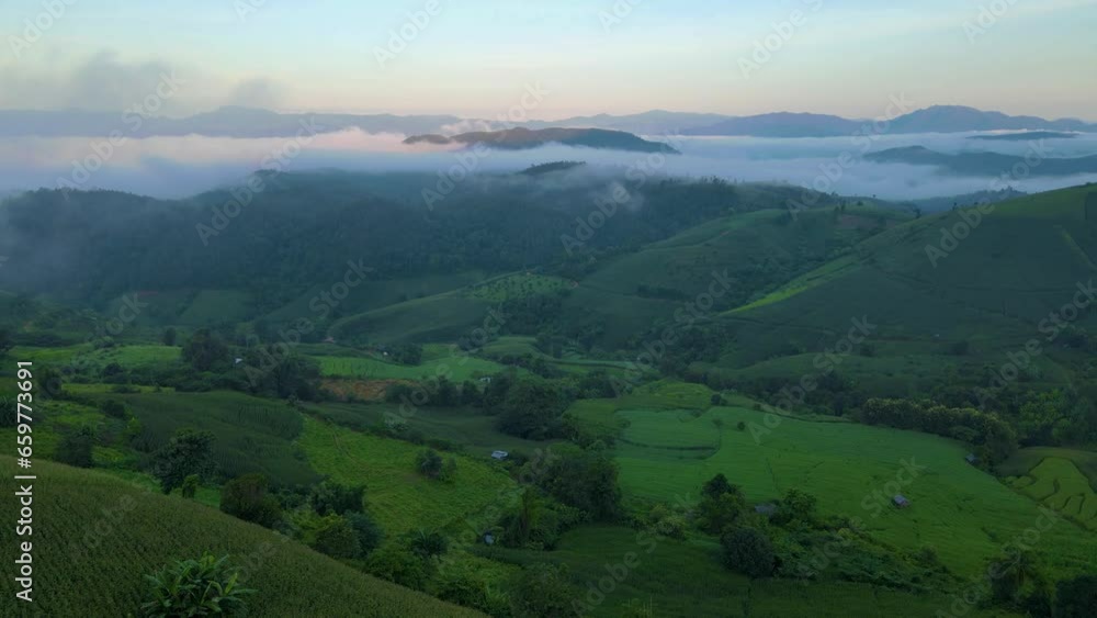 Terraced Rice Field in Chiangmai, Thailand, foggy sunrise at Pa Pong Piang rice terraces Terraced Rice Field in Chiangmai, Thailand, foggy sunrise at Pa Pong Piang rice terraces