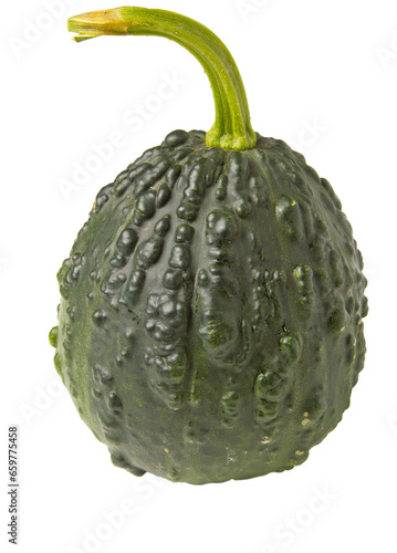 wonderful dwarf decorative pumpkin for interior decorationon a white background