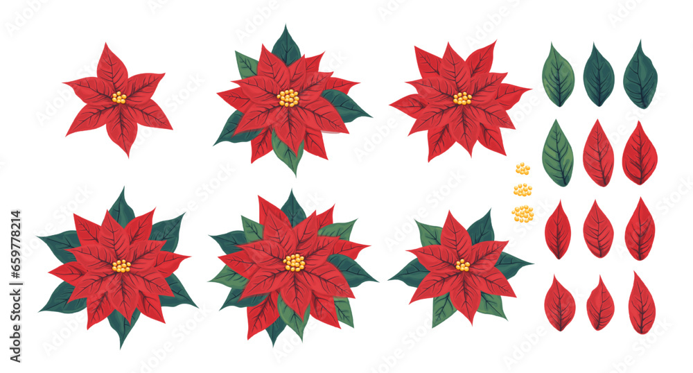 Set of poinsettia flower and its petals and leaves. Mexican poinsettia plant with red scarlet bracts surrounding the small yellow flowers. A popular houseplant for Christmas or New Year. Set of poinsettia flower and its petals and leaves. Mexican poinsettia plant with red scarlet bracts surrounding the small yellow flowers. A popular houseplant for Christmas or New Year.