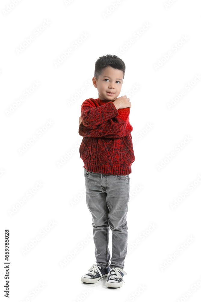 Cute little boy in knitted sweater on white background Cute little boy in knitted sweater on white background