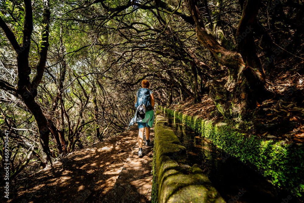 View of a female hiker walking along a Levada, a typical water channel, in a tree tunnel forming forest, Levada das 25 Fontes, Madeira, Portugal