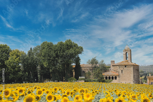 Pubol is a small town located in the municipality of La Pera, province of Girona, Catalonia. View of the castle of Dali and the sunflower fields. photo