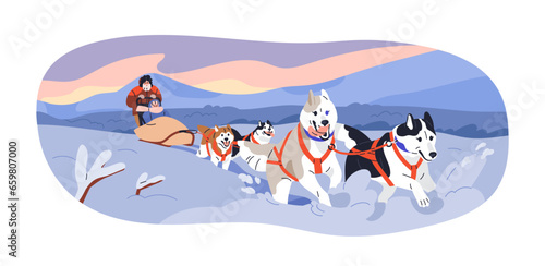 Dogs running in harnesses, people in sled sleigh. Riding sleddogs in snow, winter holiday at North Pole. Dogsledding, northern canine travel. Flat vector illustration isolated on white background
