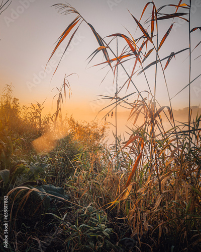 Autumn withered grass and Fog on a winding river  foggy morning and bright sunny color. on the Belarusian river Pripyat