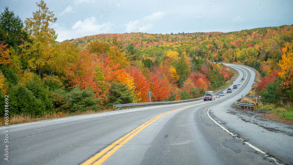 Travel landscape with road through the woods in fall. Autumn forest at sunset. Beautiful empty mountain roadway, trees with red and orange foliage Travel landscape with road through the woods in fall. Autumn forest at sunset. Beautiful empty mountain roadway, trees with red and orange foliage