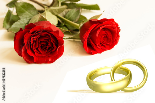 Zwei rote Rosen und Eheringe