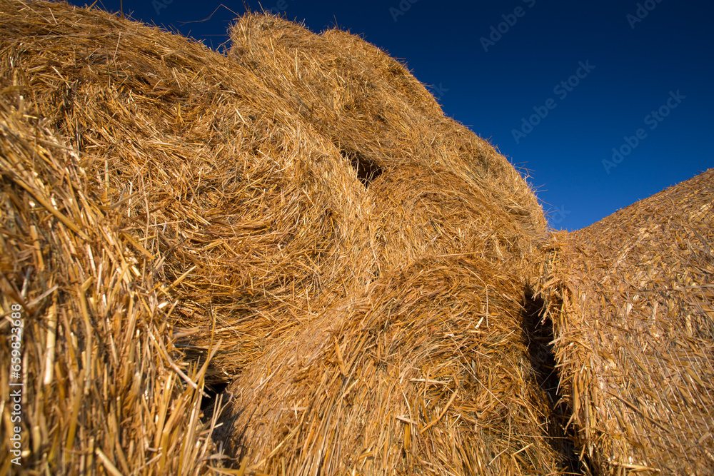 Piled hay bales on a field against blue sky Piled hay bales on a field against blue sky