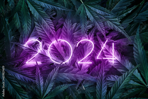 Inscription 2024 in neon on a green background of marijuana leaves. Purple New Year numbers on a backdrop made of natural cannabis. New Year banner for CBD