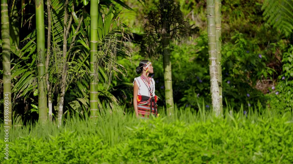 Woman Dressed In Traditional Clothing In A Lush Environment Woman Dressed In Traditional Clothing In A Lush Environment