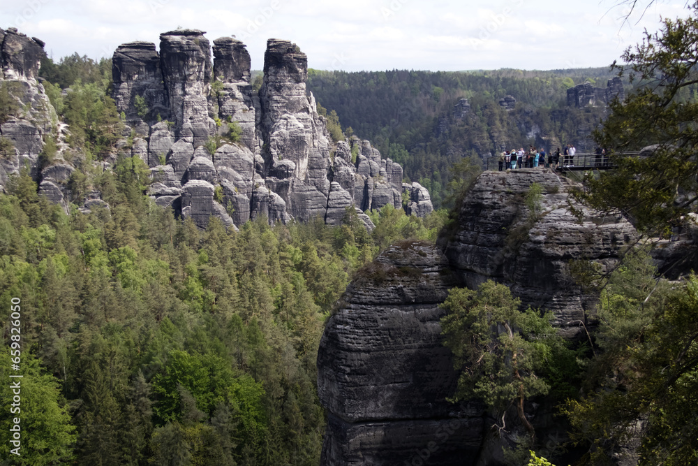 A rocky cliff peeks out from a coniferous forest in the German national park Saxon Switzerland