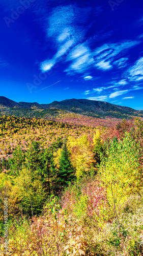 Autumn foliage in fall season. Red autumn landscapes in fall, trees and mountains of New England © jovannig