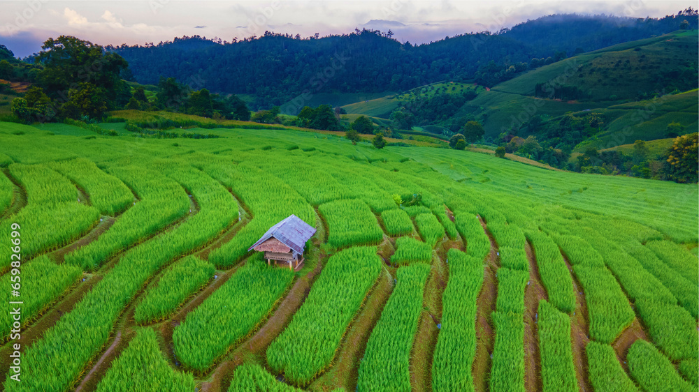 Drone aerial view at the green Terraced Rice Field in Chiangmai, Thailand, Pa Pong Piang rice terraces, green rice paddy fields during rain season Drone aerial view at the green Terraced Rice Field in Chiangmai, Thailand, Pa Pong Piang rice terraces, green rice paddy fields during rain season