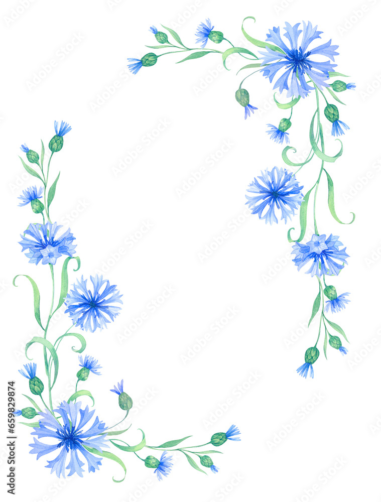 Frame with cornflower flowers. Watercolor illustration with blue flowers. Vintage square frame with herbs, flowers and leaves