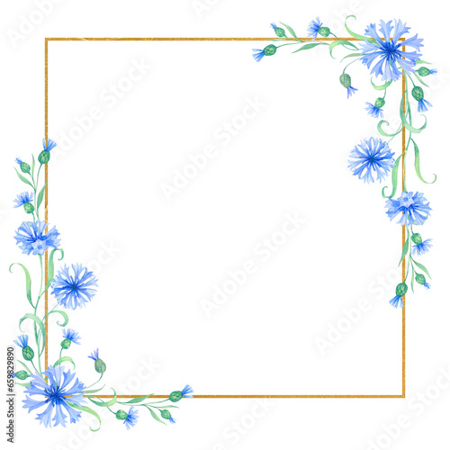 Gold frame with cornflower flowers . watercolor illustration with blue flowers
