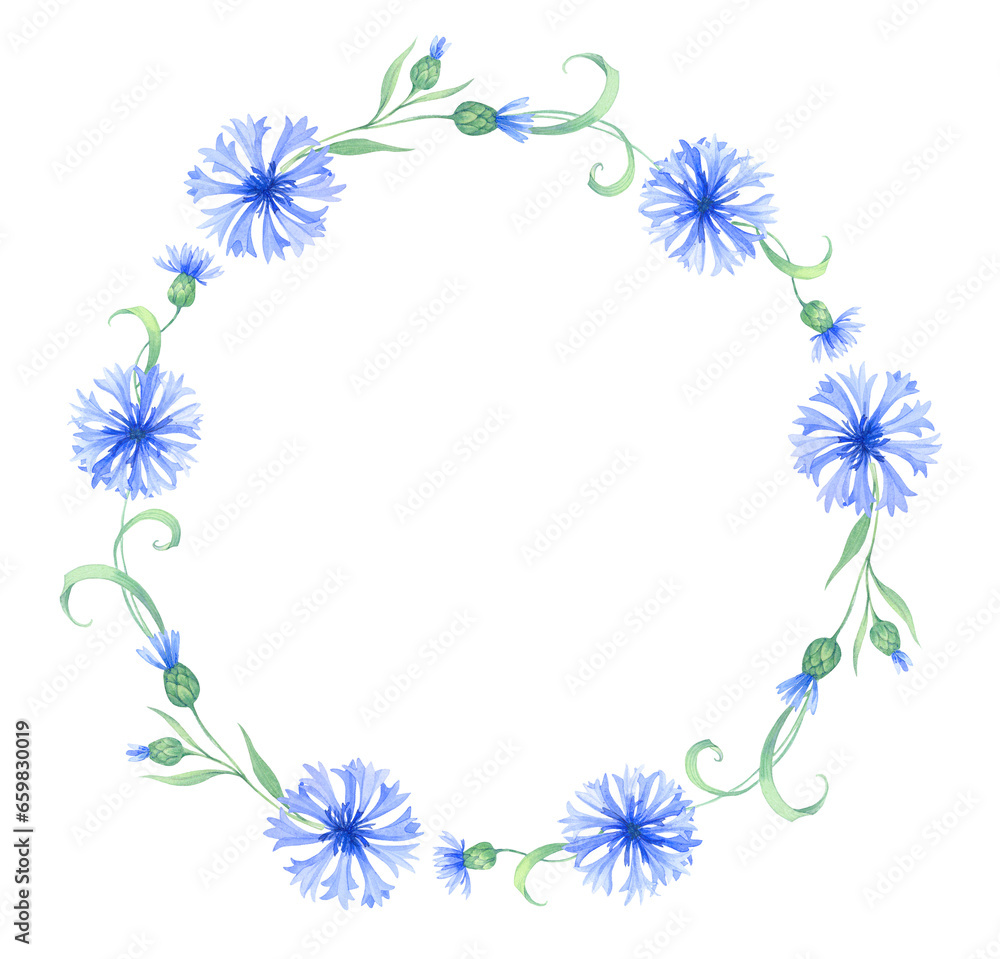 Wreath, round frame with cornflower flowers . watercolor illustration with blue flowers