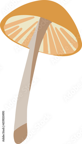 Cottagecore Mushroom Magic