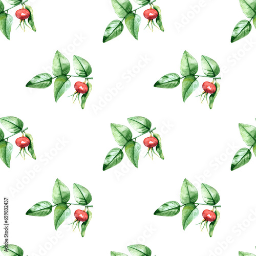 Watercolor seamless pattern with rose hip.