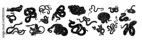 Black snake silhouettes set. Vipers, serpents, monochrome venom symbols. Coiled cobra, curled boa, twisted anaconda, crawling mamba, python. Flat vector illustration isolated on white background