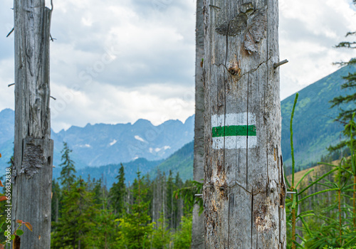 Explore marked trails in the Tatra Mountains, through Rusinowa Glade, Goose Neck, and Gąsienicowa Hall. Discover lush meadows and stunning landscapes in the heart of Polish peaks.