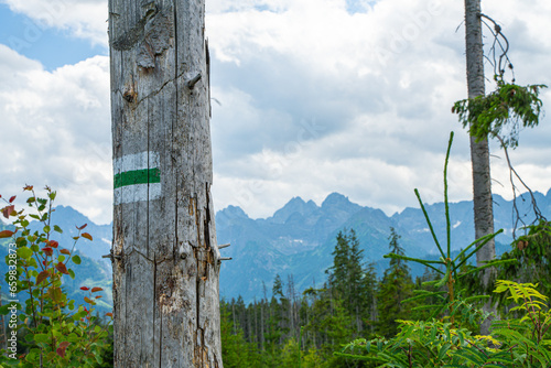 Explore marked trails in the Tatra Mountains, through Rusinowa Glade, Goose Neck, and Gąsienicowa Hall. Discover lush meadows and stunning landscapes in the heart of Polish peaks.
