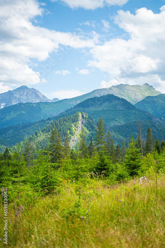 Scenic views from the heart of the Tatra Mountains, featuring the enchanting Polana Rusinowa, the picturesque Gęsia Szyja, and the breathtaking Hala Gąsienicowa. Explore the serene beauty. © Tomasz
