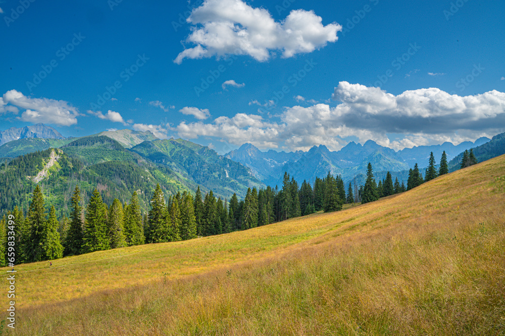 Obraz premium Scenic views from the heart of the Tatra Mountains, featuring the enchanting Polana Rusinowa, the picturesque Gęsia Szyja, and the breathtaking Hala Gąsienicowa. Explore the serene beauty.