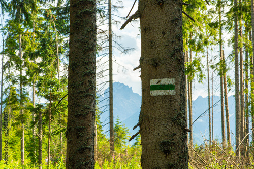 Explore marked trails in the Tatra Mountains, through Rusinowa Glade, Goose Neck, and Gąsienicowa Hall. Discover lush meadows and stunning landscapes in the heart of Polish peaks.