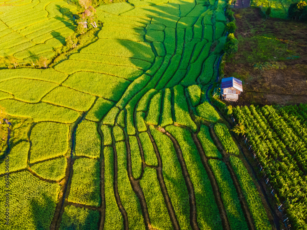Fototapeta premium Terraced Rice Field in Chiangmai during the green rain season, Thailand. Royal Project Khun Pae Northern Thailand during sunrise