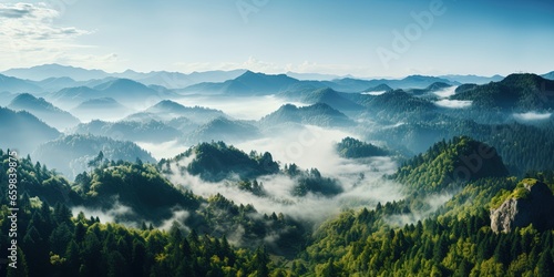 A view from a height of a mountain peak with green trees in the fog. Aerial view. Panoramic shot