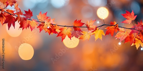 Autumn fall holiday seasonal banner landscape panorama - Closeup of colorful maple leaves on branch from a tree, with defocused background with bokeh