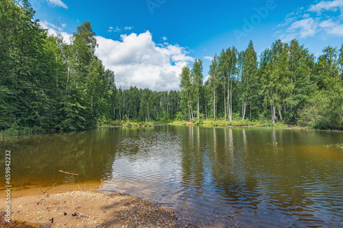 Summer river landscape with beautiful birches on the shore. Chusovaya River, Ural, Russia