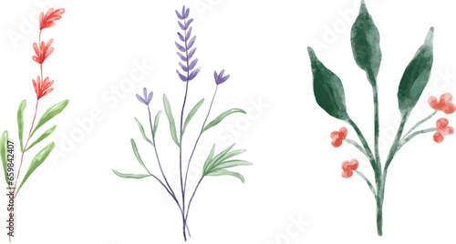 Watercolor floral green leaves illustration