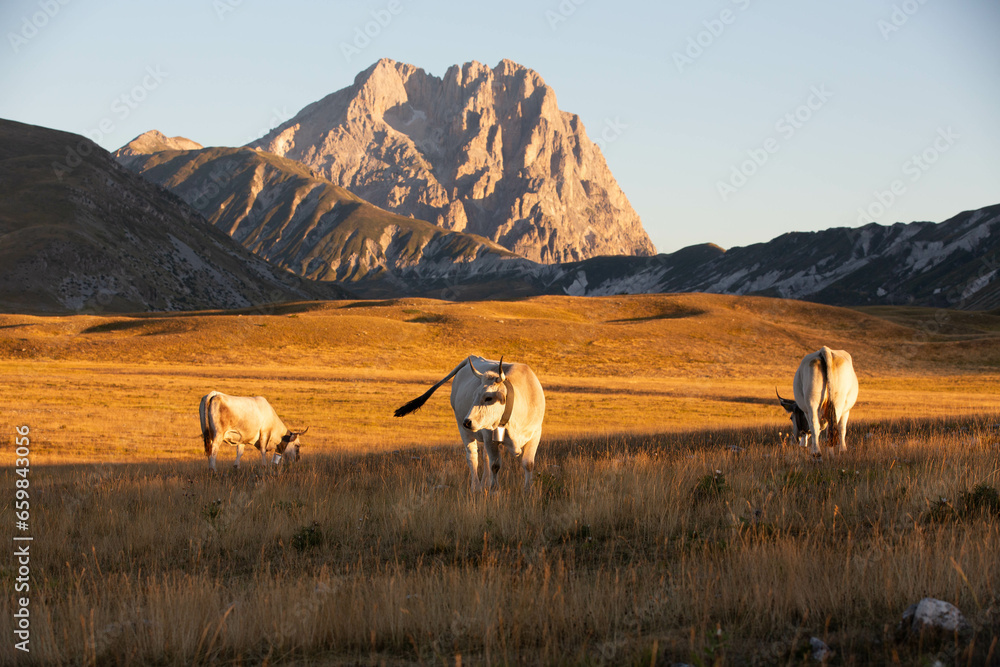 Naklejka premium Gran Sasso at sunrise
