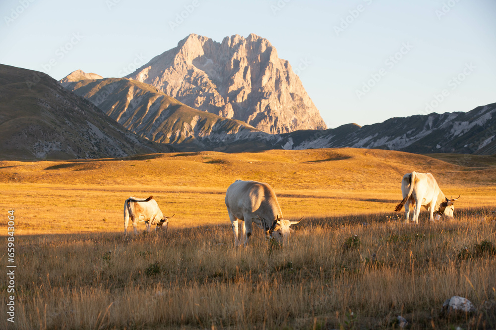 Gran Sasso at sunrise