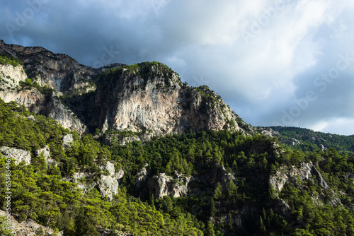 High cliffs and forest on the mountain in Mugla Fethiye