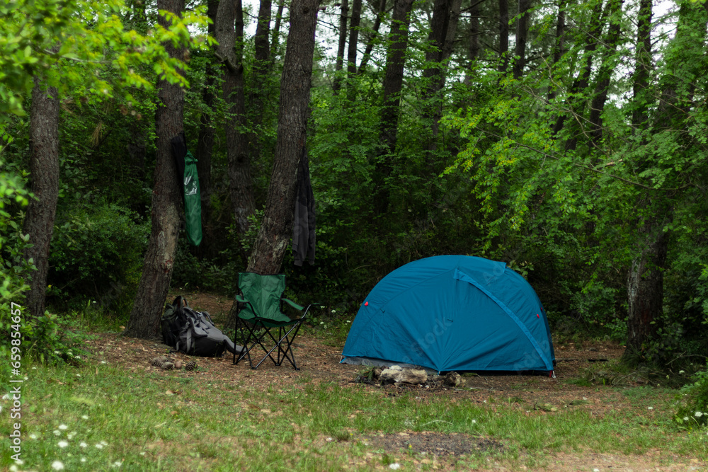 Camping in the forest with blue tent