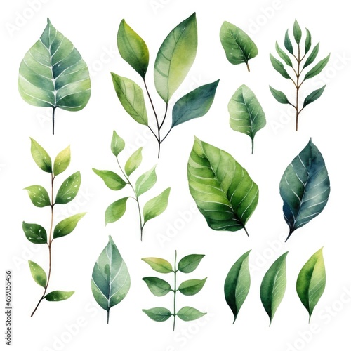 Set of watercolor green leaves on white background. Generative AI