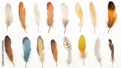 set collection of feathers isolated on a background for design and overlay © kichigin19