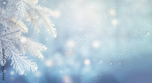 Hermosa imagen de fondo invernal de ramas de abeto cubiertas de escarcha y pequeños copos de nieve pura con espacio para texto. © ACG Visual