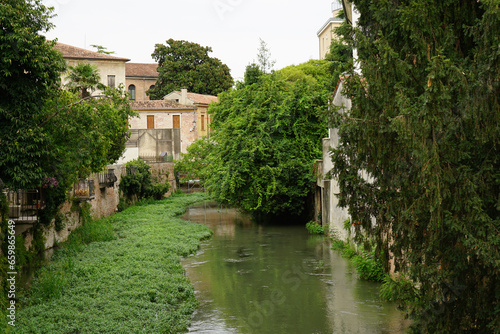 Small river surrounded by green vegetation 