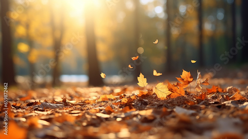leaf fall in the autumn park in the sunlight  dry yellow leaves fly in the landscape of warm October