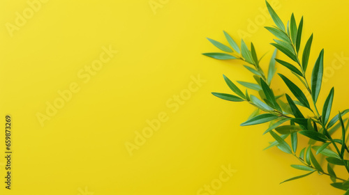Minimal background with natural green leaves on yellow paper with copy space.