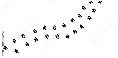 Traces of a Predator Animal. Wild life concept vector.